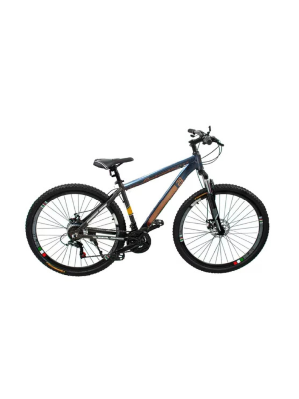BICICLETA MOUNTAIN BIKE RODADO 29 LAMBORGHINI