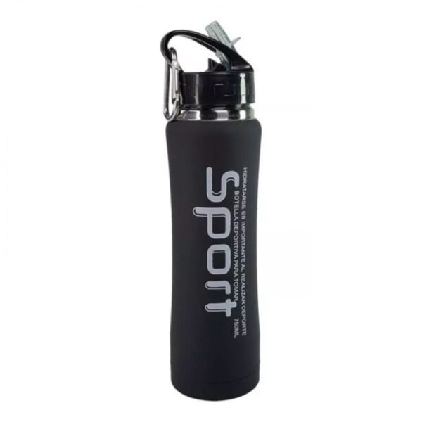 ce678ebd3f7b094e2c5033432fbe BOTELLA TERMICA ROLAN SPORT CON PICO CAP 500 ML