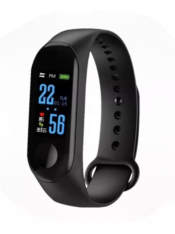 SMARTBAND SOUL FIT 250