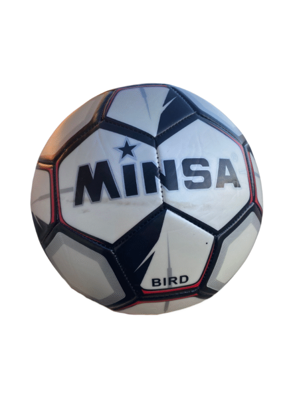 PELOTA DE FUTBOL N°5 MINSA