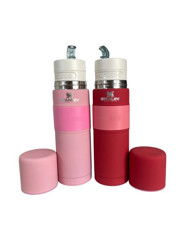 MATE AUTOCEBANTE TERERE/MATE SIMIL STANLEY CAP750 ML
