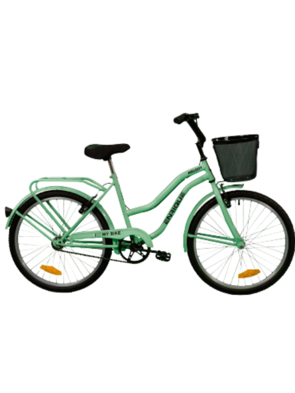 BICICLETA DE NENA "ENRIQUE" RODADO 24