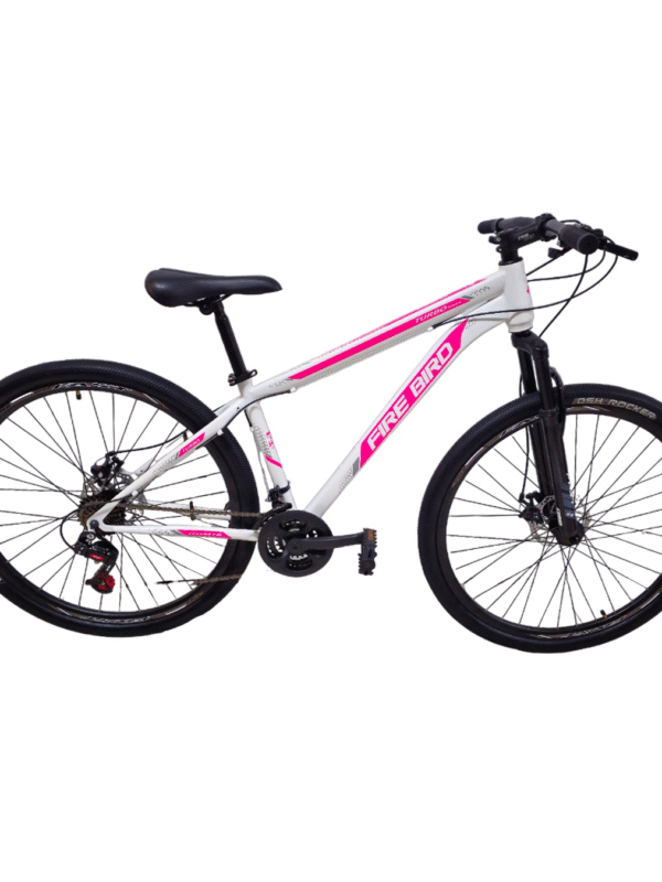 BICICLETA MOUNTAIN R29 FIREBIRD TURBO DE ACERO 21V