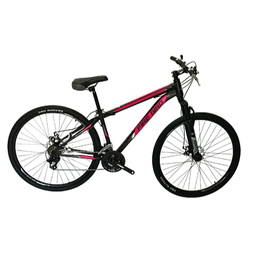 BICICLETA MOUNTAIN R29 FIREBIRD TURBO DE ACERO 21V
