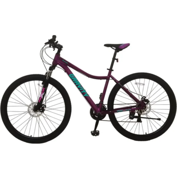 BICICLETA GRAVITY RODADO 29