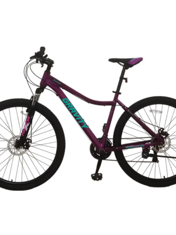 BICICLETA GRAVITY RODADO 29