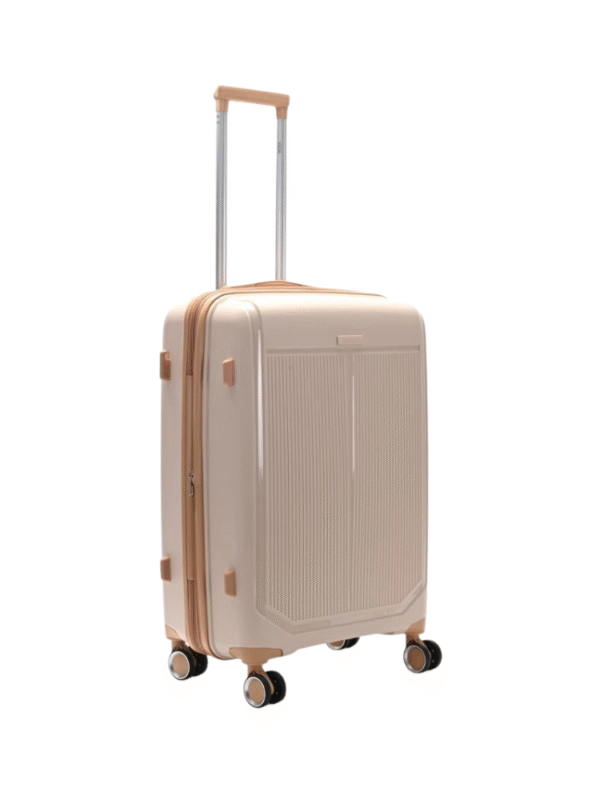 Fotos PNG (49) VALIJA 24" SKORA